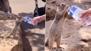 Viral Video: प्यासी गिलहरी को महिला ने पिलाया पानी, दिल पिघला देने वाला वीडियो वायरल